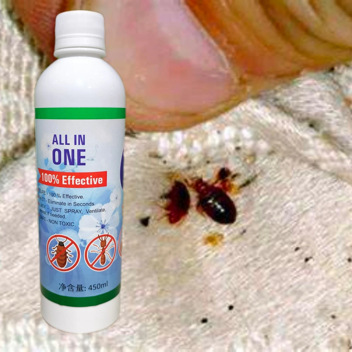 Bed Bug Control